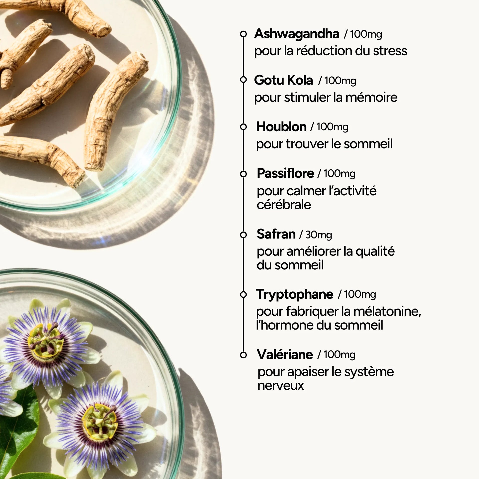 RÉCUPÉRATION CÉRÉBRALE