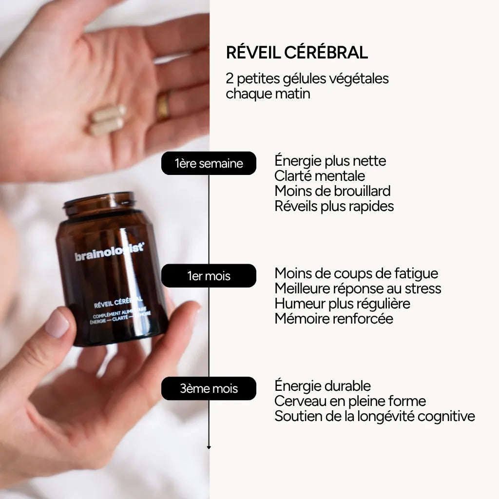 Chronologie des effets Réveil Cérébral Brainologist sur l'énergie matinale